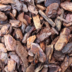 Komodo Forest Terrain Orchid Bark Chips, 12 Litre, Natural Terrain for Reptiles, Orchid Bark Chips, Bark Chips for Reptiles, Reptile Terrain, Reptile