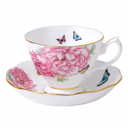 Royal Albert Miranda Kerr Friendship Teacup & Saucer  2 Piece Set  Mul