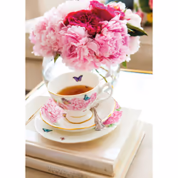 Royal Albert Miranda Kerr Friendship Teacup & Saucer  2 Piece Set  Mul