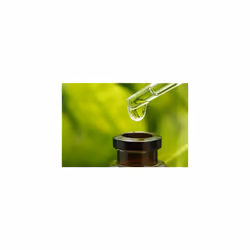 Macadamia Oil Natural Oil Healing Oil Treatment 4.2 Ounces