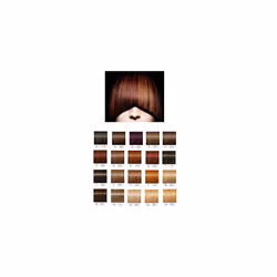 Schwarzkopf Igora Royal Absolutes Colorist's Anti-Age Color Tube 9-50 Extra Light Blonde Gold Natural