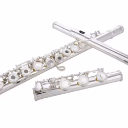 Glory HAND-ENGRAVED SILVER PLATED HIGH GRADE FLUTE 17 Hole OPEN/CLOSED C Flute With Case Tuning Rod and Cloth and Gloves HIG ...
