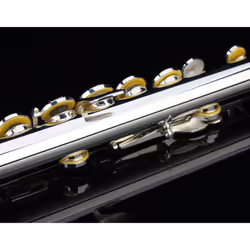 Glory HAND-ENGRAVED SILVER PLATED HIGH GRADE FLUTE 17 Hole OPEN/CLOSED C Flute With Case  Tuning Rod and Cloth and Gloves HIGH GRADE HAND ENGRAVED