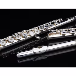 Glory HAND-ENGRAVED SILVER PLATED HIGH GRADE FLUTE 17 Hole OPEN/CLOSED C Flute With Case  Tuning Rod and Cloth and Gloves HIGH GRADE HAND ENGRAVED