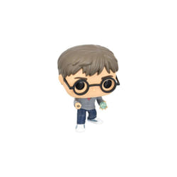 Funko Harry Potter Harry w/Prophecy (BD) Pop Figure, Gray