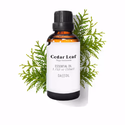 Essential Oil cedar leaf 50 ml