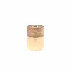 Gingko Design Smart Diffuser Lamp, Walnut, Acrylic glass, Copper, Wood, Universal, 1 W, LED, 2700 K