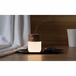 Gingko Design Smart Diffuser Lamp