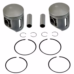 SPI SM-09266 2 Standard Bore Piston Kits for Arctic Cat 6000 Snow fits 2014-2016 Models - 73.8mm