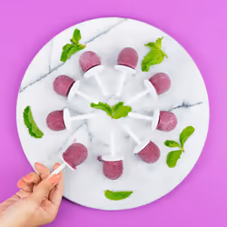 ZOKU  Mini Pop Molds  9 Miniature Popsicle Molds With Sticks and Drip Guards  EasyRelease BPAfree Silicone