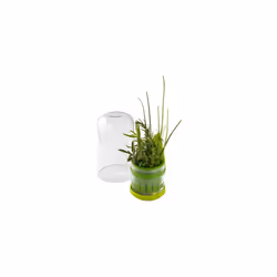 Herb Saver