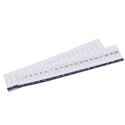 Didax Write ON Wipe Off 1-20 Number Path  Multicolor