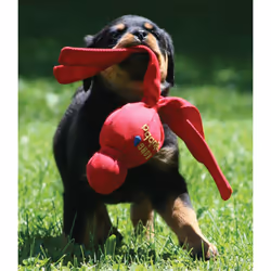 KONG Wubba Dog Toy - Large