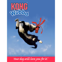 KONG Wubba Dog Toy - Large