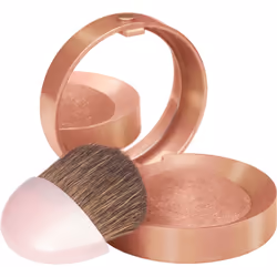 Bourjois Blush  03 Brun Cuivre  0.08 Ounce