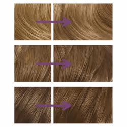 Nice'n Easy No Ammonia Hair Dye, 91 Dark Blonde