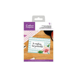 Crafters Companion Clear Acrylic Stamp ~ Anything but Predictable