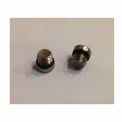 Avid Disc Brake Spare Lever Reservoir Bleed Screw / O-Ring Stainless - 20 Pieces