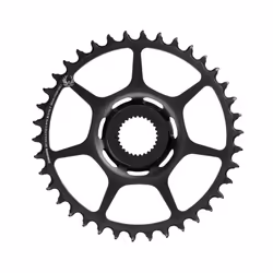 SRAM Chain Ring X-Sync 2 Bosch Direct Mount - 16T, Black