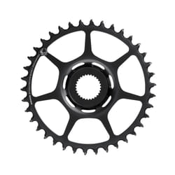 SRAM Chain Ring X-Sync 2 Bosch Direct Mount - 38T, Black