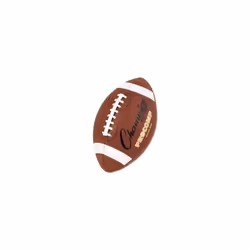 Champion Sports Pro Composite Football Junior Size 2075 Brown