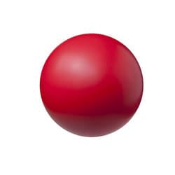 Champion Sports Coated High Density Foam Ball (8.5-Inch)