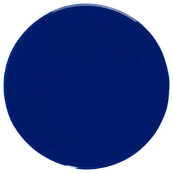 Champion Sports Round Poly Spot Markers for Sports  Activities  and Social Distancing - 10-inch  Set of 12 - Blue