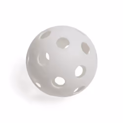 Champion Sports Scoop Ball Game: Classic Kids Outdoor Party Gear for L