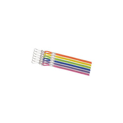 Champion Sports Nylon Lanyards with JHook Clip  Assorted Neon  12 Pack (Retail Card)