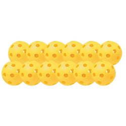 Champion Sports 12"" Hollow Plastic Softballs - Athletic Softball Equipment - - Practice /Softballs Plastic Hollow - Regulation Size Balls - Fun for A