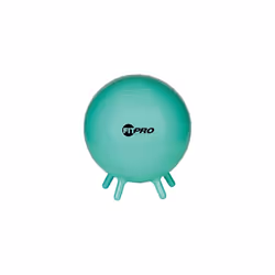 Champion Sports 42CM FIT PRO Ball with Stability Legs