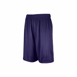 Russell 659AFM.PUR.XL Adult Dri-Power Mesh Shorts, Purple - Extra Large