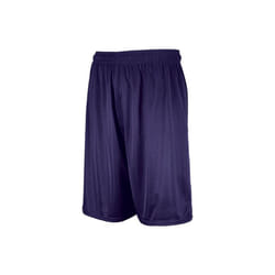 Russell 659AFM.PUR.XL Adult Dri-Power Mesh Shorts, Purple - Extra Large