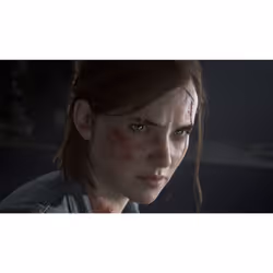 Sony Interactive Entertainment The Last of Us Part II