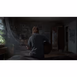 Sony Interactive Entertainment The Last of Us Part II - Additional view 8