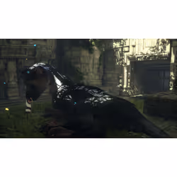 Sony Interactive Entertainment The Last Guardian