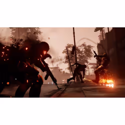 Sony Interactive Entertainment inFamous : Second Son Standard PlayStation 4
