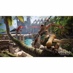 Sony Horizon: Forbidden West Standard Arabic, Spanish, Polish, French, Italian, Portuguese, Japanese, Russian, German PlayStation 4 - Additional view 4
