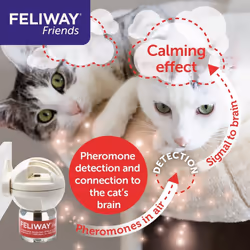 Friends 30 Day Refill, helps to reduce conflict in multi-cat households, helping cats get along better - 48ml