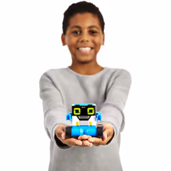 MiBro Really RAD Robots