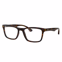 Ray-Ban RB5279, Adult, Unisex, Square, Tortoise, Non-polarized lens, Acetate