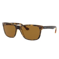 Ray-Ban RB4181 sunglasses