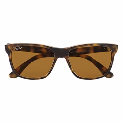 Ray-Ban RB4181 sunglasses