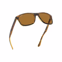 Ray-Ban RB4181 sunglasses