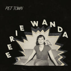 ImportCDs Pet Town CD Pop rock