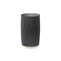 Bowers & Wilkins Formation Flex Black, Gold Wireless