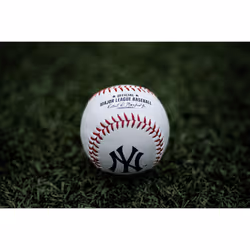 Rawlings MLB Tampa Bay Rays Team Logo Baseball  Official  White
