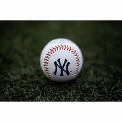 Rawlings MLB Tampa Bay Rays Team Logo Baseball  Official  White