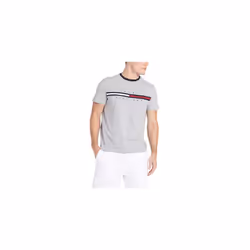 Tommy Hilfiger mens Short Sleeve Logo T-shirt T Shirt Medium grey Hea X-Large US