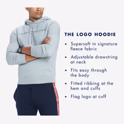 Tommy Hilfiger mens Logo Hoodie Hooded Sweatshirt  Skyway  Small US
